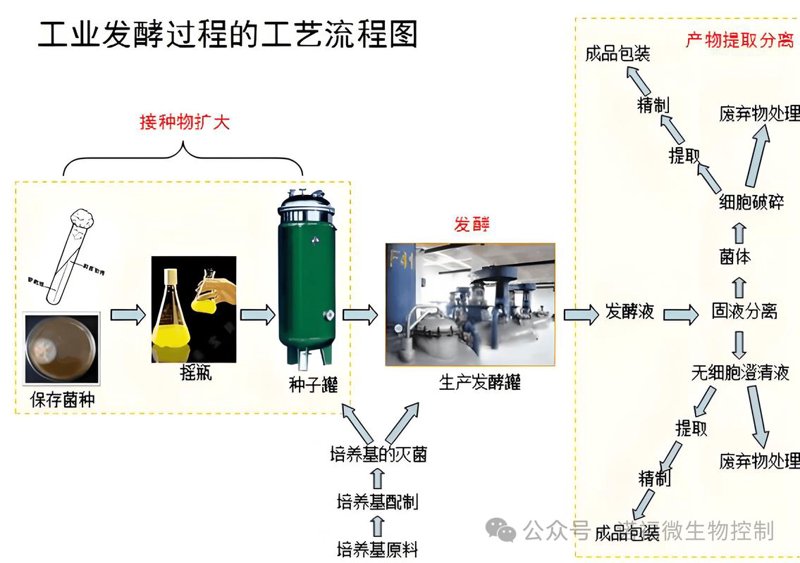 神奇微生物菌剂：现代农业的绿色动力