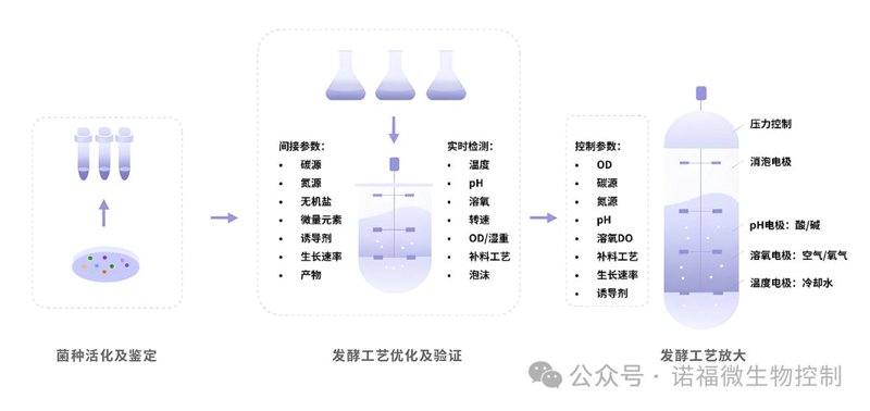 阳泉生物工程的创新与挑战
